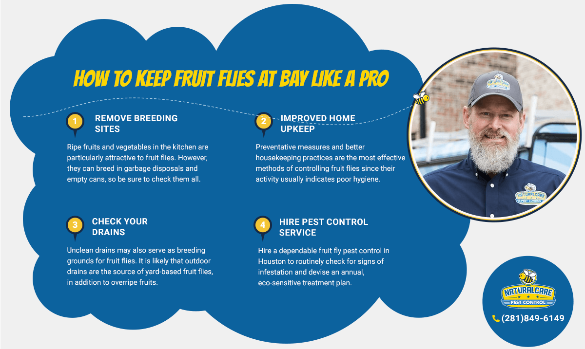 houston-eco-friendly-fruit-fly-pest-control