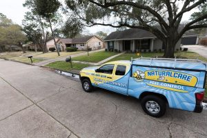 Efficient mosquito control systems