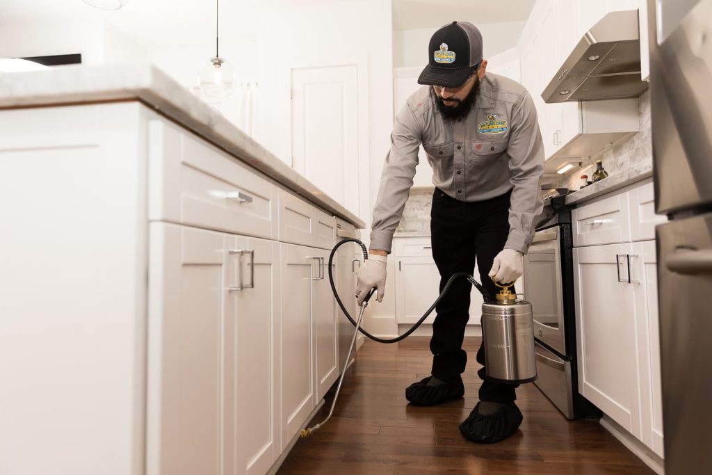 Silverfish exterminator spraying pest control in kitchen