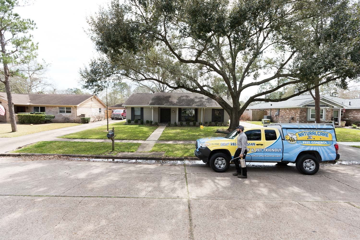 Why Mosquitoes Love Your Yard Mosquito Fogging Services Near Me