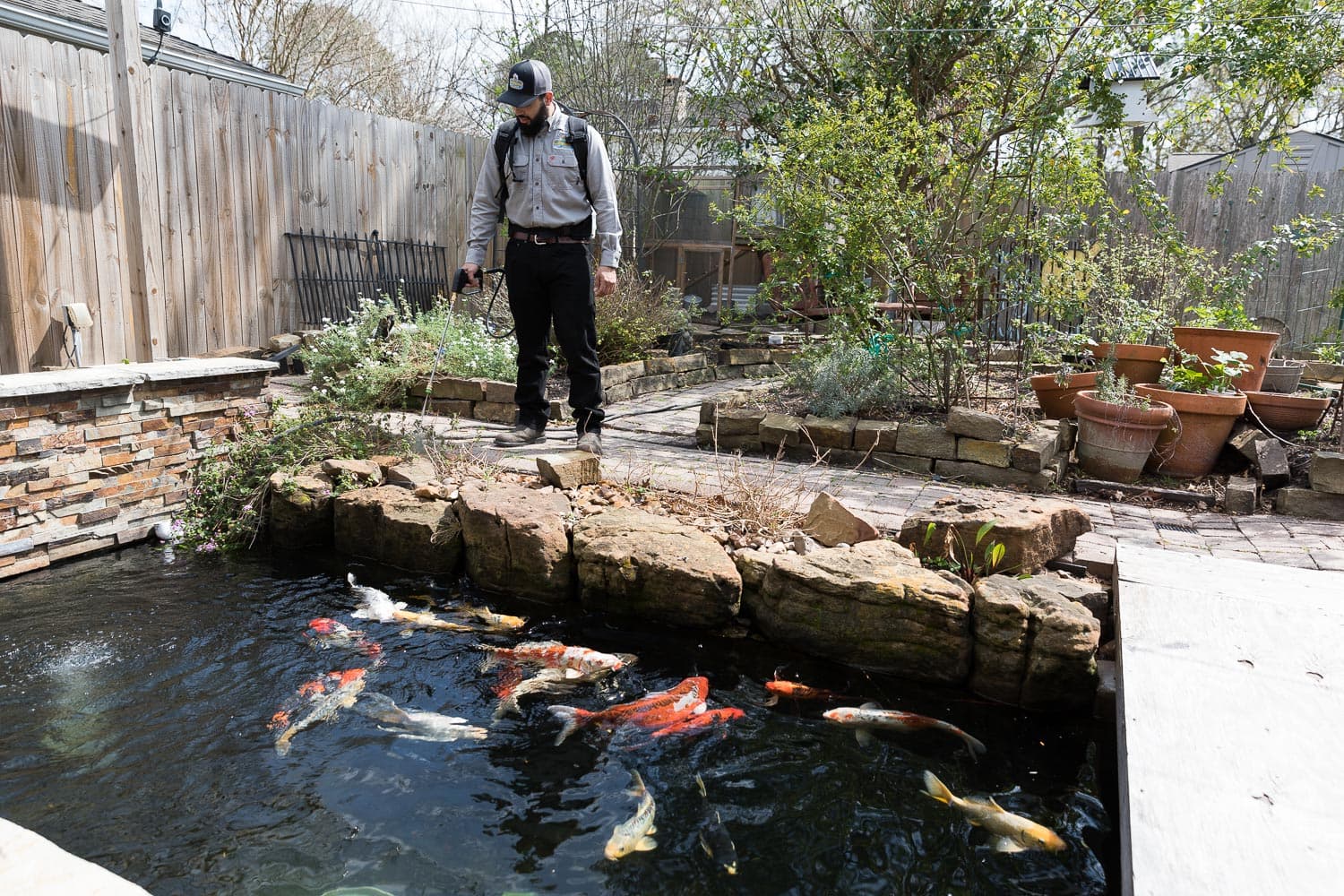 Why Mosquitoes Love Your Yard Mosquito Fogging Services Near Me