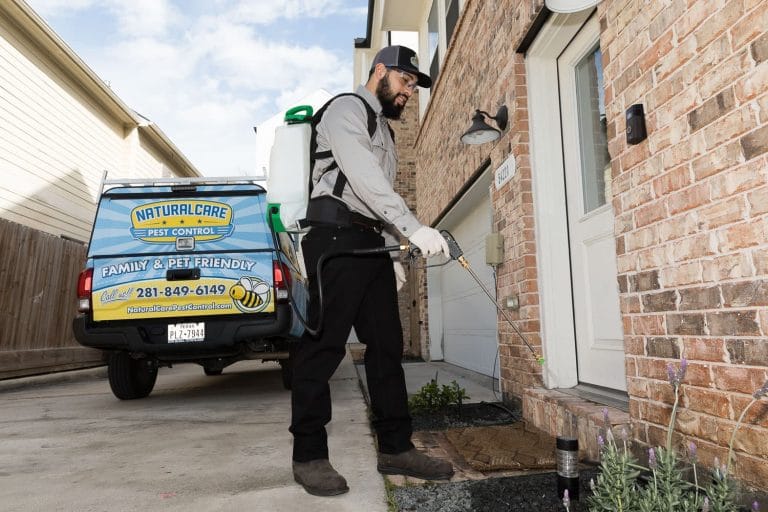 4 Reasons Behind Sudden Ant Infestations Houston Ant Control