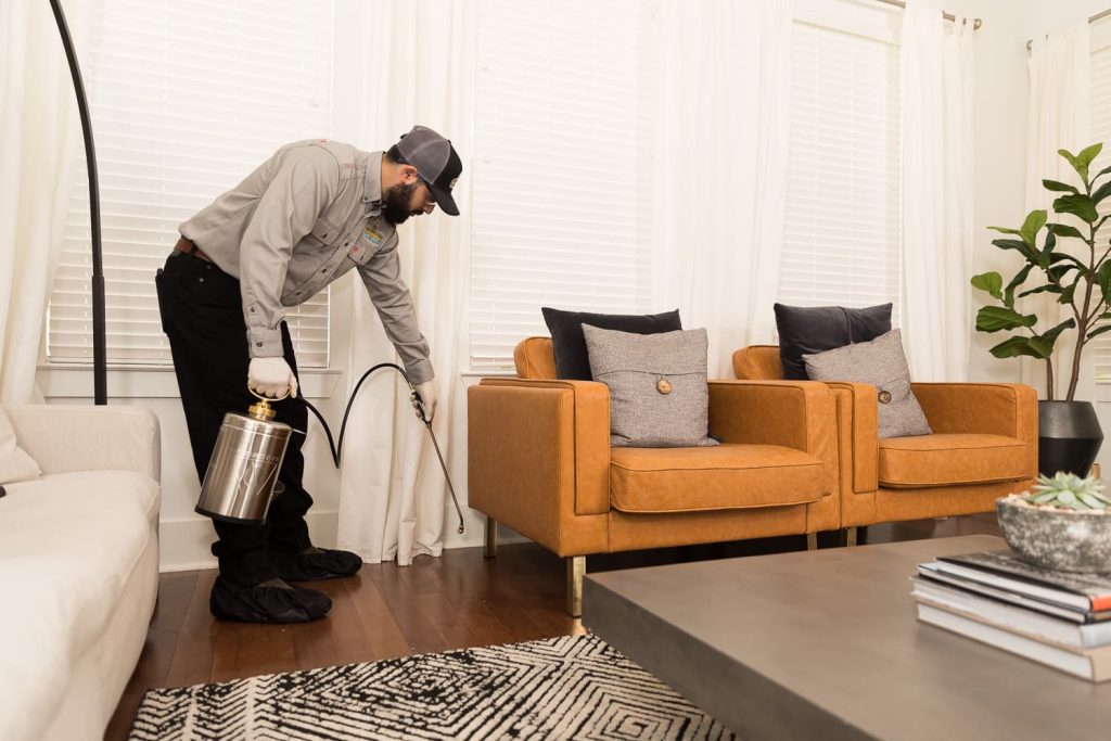 Man spraying pest control behind orange chair