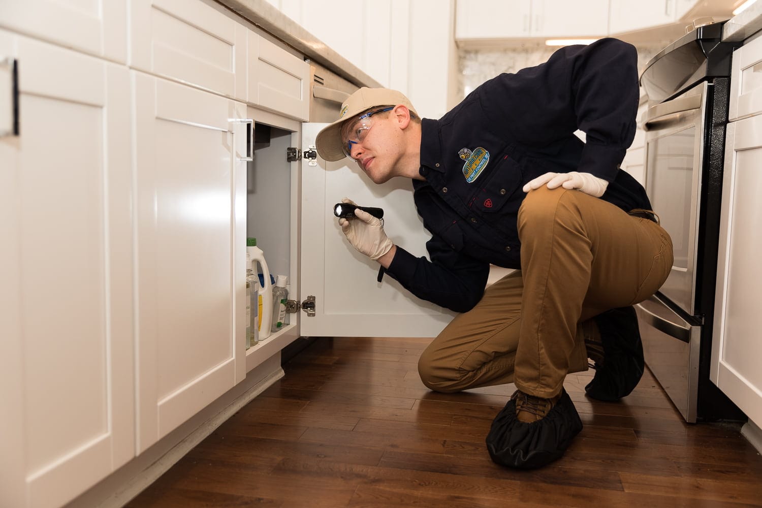 8 Signs of Silverfish Infestation Silverfish Pest Control Houston