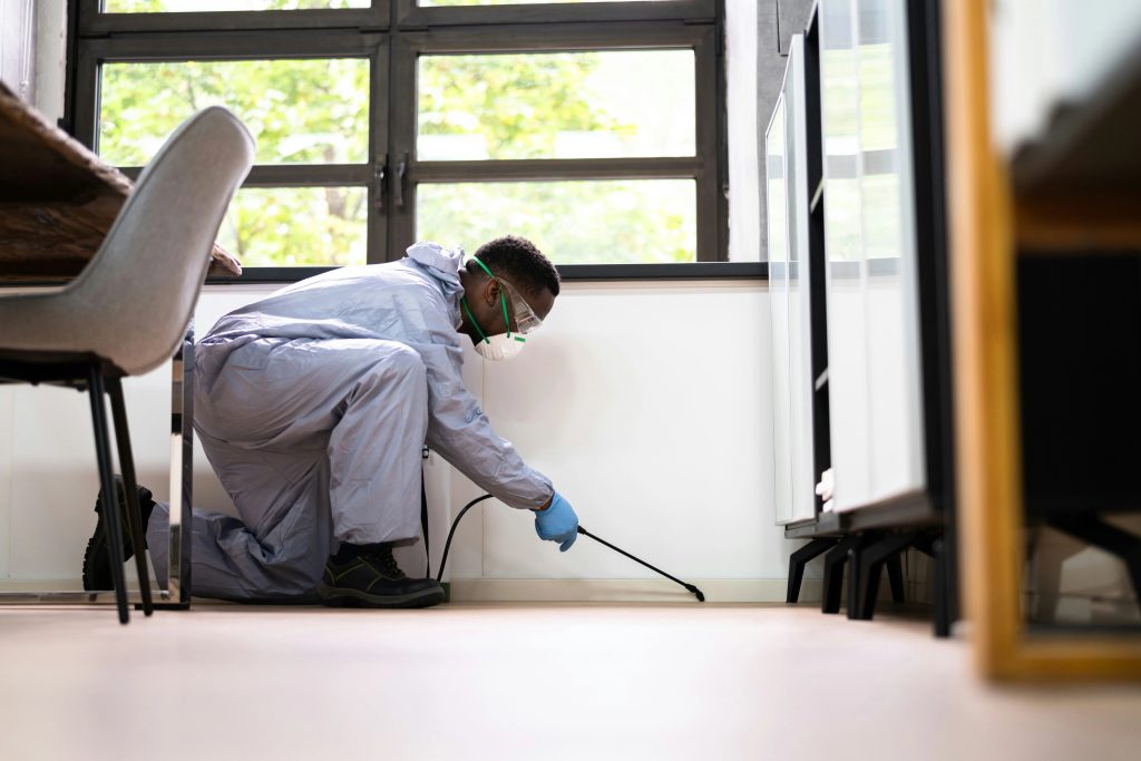 Man using pest control to seal entry points