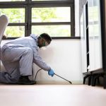 Man using pest control to seal entry points